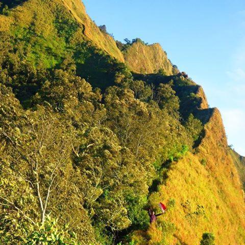 Villa Gardenia Pantai Jepara Eksteriør bilde